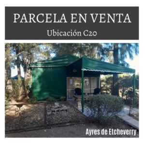 Estuctura En Ayres De Etcheverry