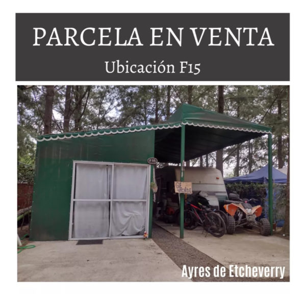 Estuctura En Ayres De Etcheverry