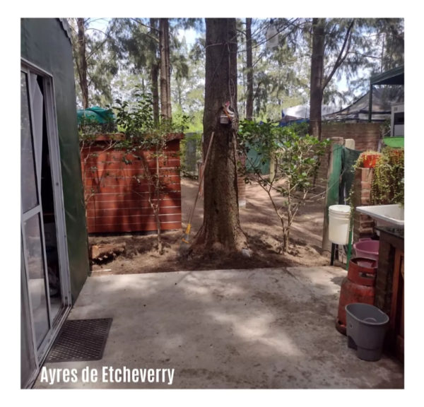 Estuctura En Ayres De Etcheverry - Image 5